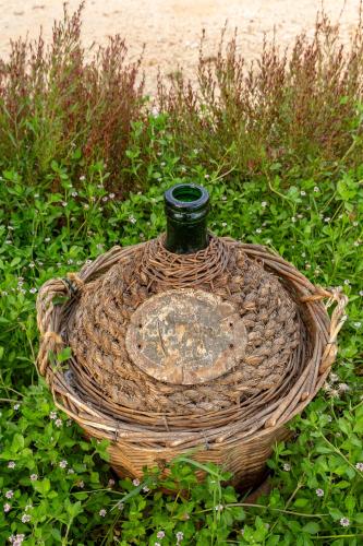 a basket with a vase sitting in the grass at Azienda Agrituristica Spicchio di Sole in Bernalda