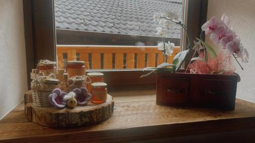 Fotografie z fotogalerie ubytování La Casa di Carlotta v destinaci Baselga di Pinè