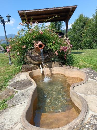 a small pond with a fountain in a garden at Il Casolare Bioenergetico in Albareto