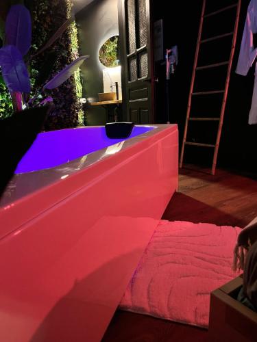 Gambar di galeri bagi Amazonia Suite - Starry Sky & Spa Bath di Valenciennes