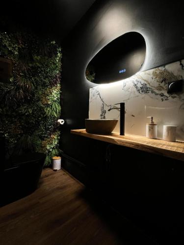 Gambar di galeri bagi Amazonia Suite - Starry Sky & Spa Bath di Valenciennes