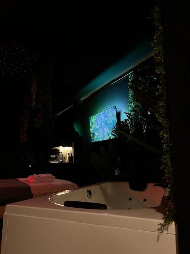 Gambar di galeri bagi Amazonia Suite - Starry Sky & Spa Bath di Valenciennes