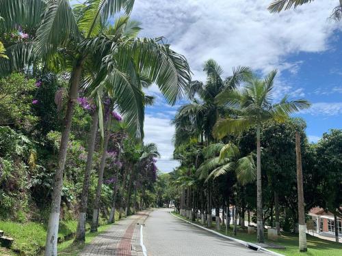 a street lined with palm trees on the side of a road at Hospedagem Alecrim in Santo Amaro da Imperatriz