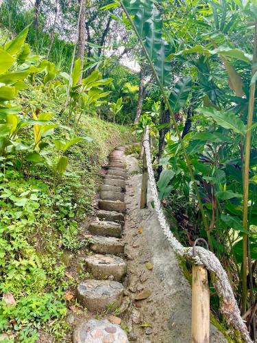 a stone path in the middle of a forest at Minca Ecohabs Hotel in Minca