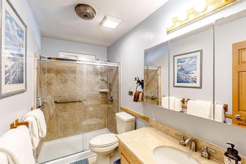 a bathroom with a toilet and a shower and a sink at Sugarloafing ~ Dog-friendly cabin with hot tub, covered porch, fireplace, grill, & W/D in Sugarloaf