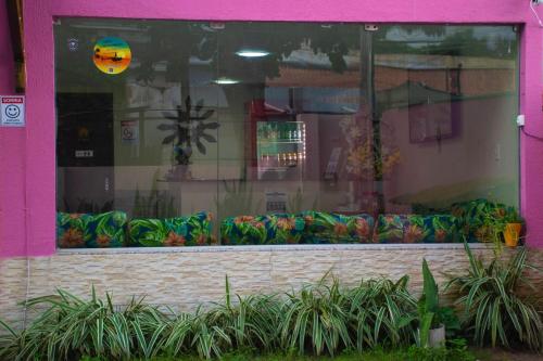 a window of a store with plants in front of it at Pousada vila bela in Porto De Galinhas