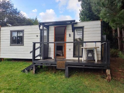 a tiny house on a stand in the grass at CABAÑAS LOMAS DE YECO in Valdivia
