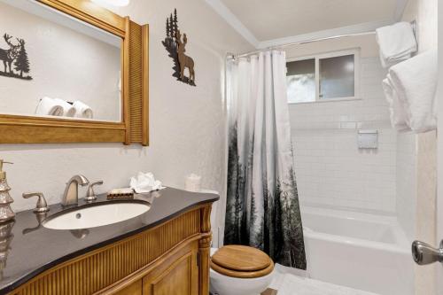 ein Badezimmer mit Waschbecken, Toilette und Dusche in der Unterkunft Orchard Family Cabin Near Historic Big Bear Village Walk to Marina in Big Bear Lake