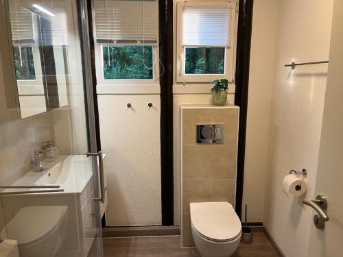 a white bathroom with a toilet and a sink at Loreley Secret Garden in Bogel