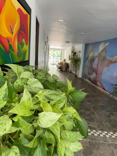 Imagen de la galería de hotel bocas del cauca, en Tarso