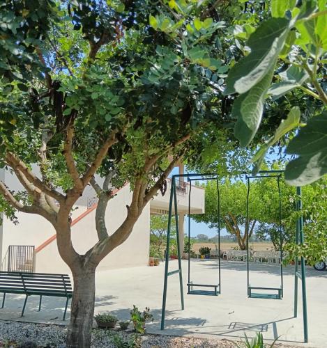 a basketball hoop in front of a tree at Home sweet Home in Metaponto