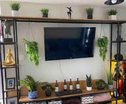 TV de pantalla plana colgada en una pared con plantas en Habitación para descansar, en Tijuana