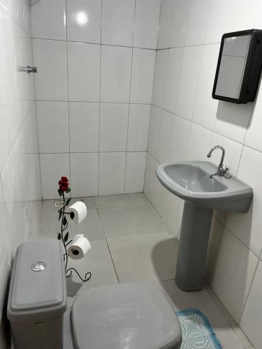 a small bathroom with a toilet and a sink at Suíte Freitas Piri in Pirenópolis