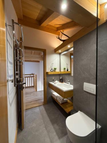 a bathroom with a white toilet and a sink at Villa Bergbliss in Yablunytsya