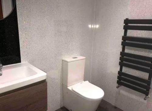 a bathroom with a white toilet and a sink at 106 Brynmill - Room 9 - Sea Views in Sketty