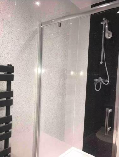 a shower in a bathroom with a glass door at 106 Brynmill - Room 9 - Sea Views in Sketty