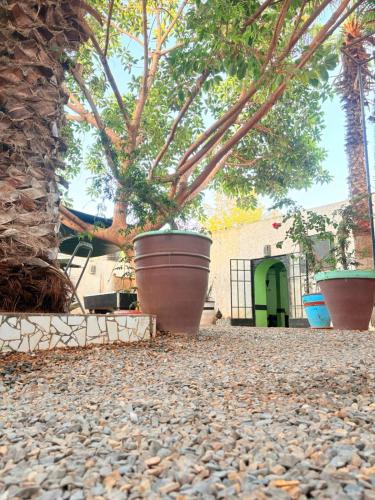 two large flower pots in front of a building with a tree at ASARAG GUEST HOUSE & Lodge in Mirleft