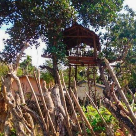 a tree house in the branches of a tree at Elephant vale in Kegalle