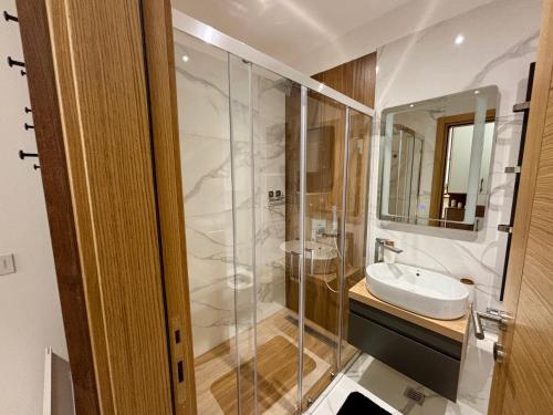 a bathroom with a sink and a glass shower at Mount Inn Desetka in Zlatibor