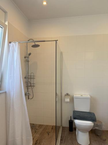 a bathroom with a shower and a toilet at Maison Soleil in Kastro Kyllini