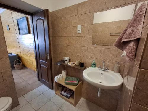 a bathroom with a sink and a toilet at Téli Berek Vendégház in Abod