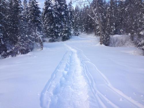 a trail in the snow with trees in the background at Witt's End Ranch Private Get Away in Princeton