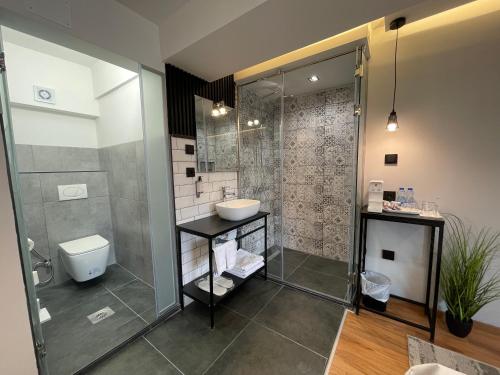 a bathroom with a shower and a sink and a toilet at XIX Boutique in Skopje