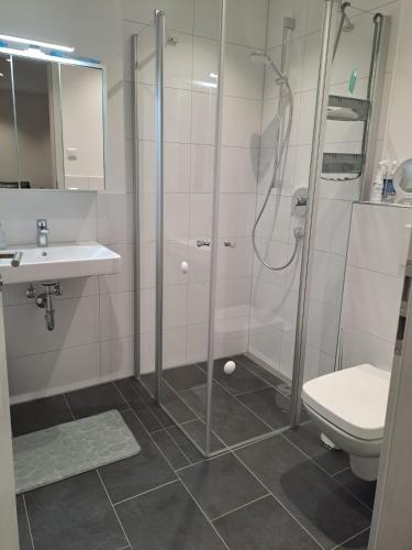 a bathroom with a shower and a toilet and a sink at FeWo Müller in Simmersfeld