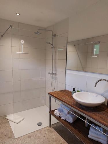 a bathroom with a sink and a shower at Ferienwohnung Lissi in Ottobeuren