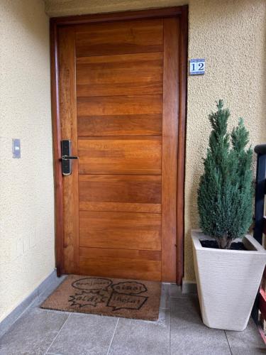 a wooden door with a potted plant in front of it at La Poza Pucon, a pasos de todo in Pucón