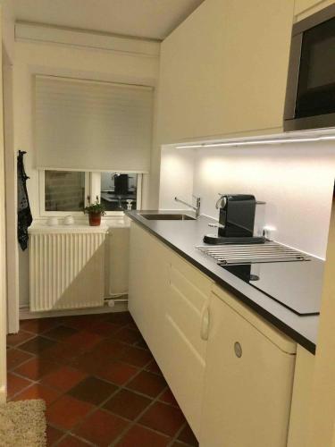 Virtuvė arba virtuvėlė apgyvendinimo įstaigoje Cosy apartment