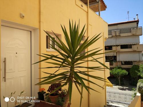 Sea & garden view cozy apartment with good privacy