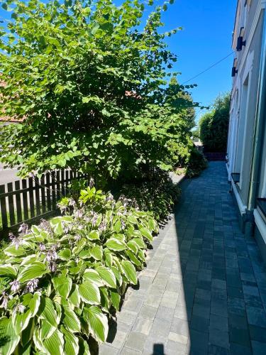 Κήπος έξω από το Apartament u Gustawa Klimta Frombork