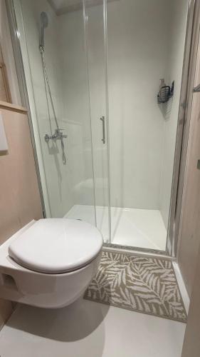 a bathroom with a shower and a toilet in it at DeLux House 8 Mali Nordsee Camp in Pakoštane