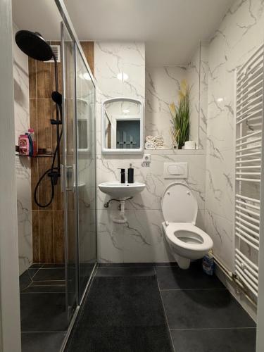 Koupelna v ubytování Apartament 2 camere