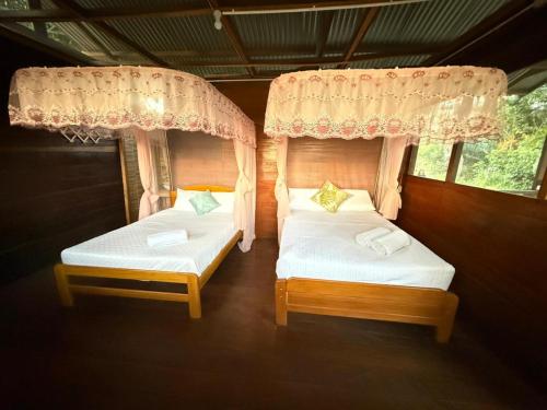 马尔多纳多港Valencia Lake Lodge的有两张床的房间有两扇窗户