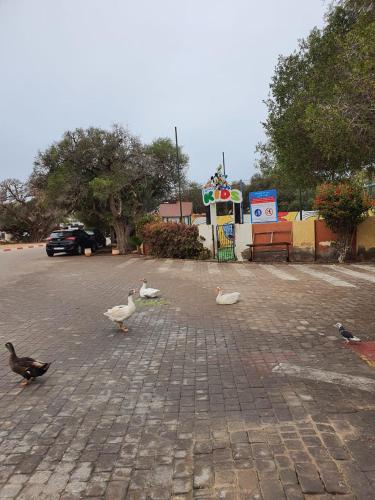 Agadir nʼ Aït SaにあるJoli Appartement a Imi Ouaddarのギャラリーの写真