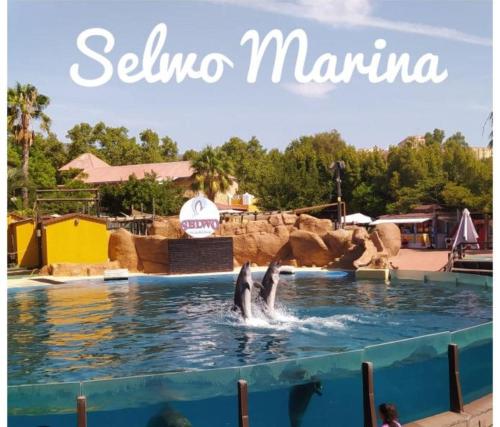 Piscine de l'établissement Arroyohome ou située à proximité