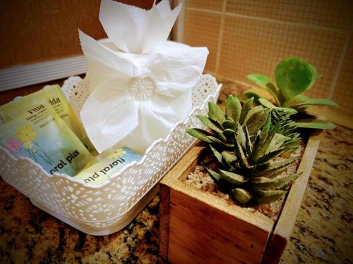 a white basket with a plant on a counter at Casa Mandacaru Pousada in Caucaia