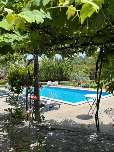 a pool with a table and chairs and trees at Quintinha de Santiago in Oliveira de Azemeis
