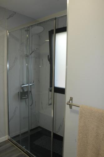 una ducha con puerta de cristal en un baño en Nature Apartment 2 with Pool, en Arco da Calheta