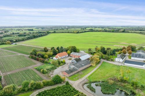 an aerial view of an estate with a farm at 580 M2 Countryside Idyll With Activity Room in Haderslev