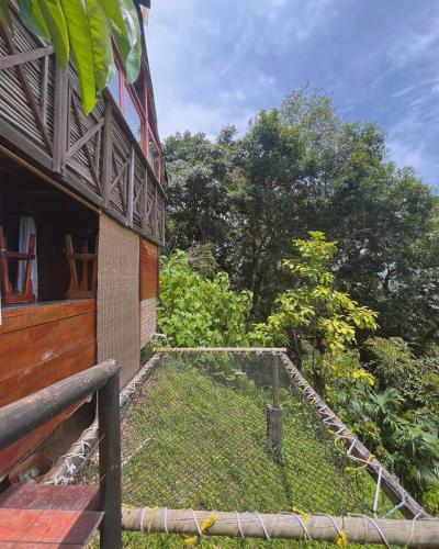 a building with a net on the side of it at Hostal CASA COLIBRI MINCA in Minca