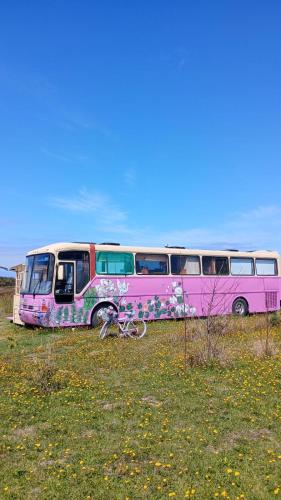 Fotografie z fotogalerie ubytování Bus Casa en observatorio de aves v destinaci Puerto Montt
