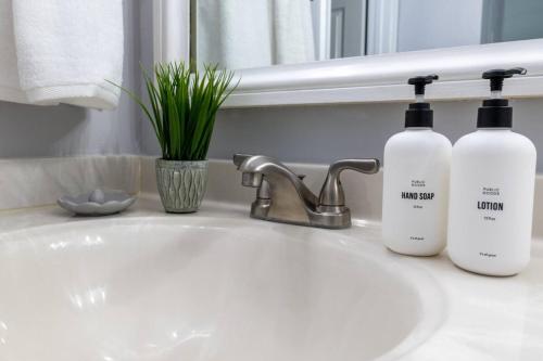 a bathroom sink with two bottles of laundry detergent at Villa Signor in Norwich