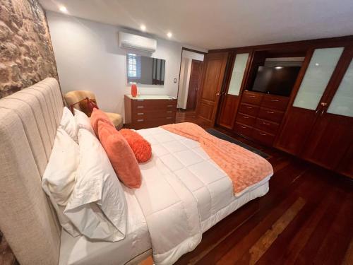 Cama o camas de una habitación en Luxury Oasis in the Old Town of Panama