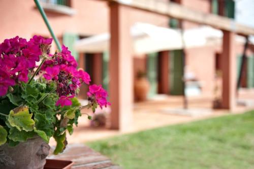 a vase filled with pink flowers in front of a building at Podere Chiaromonte in Palaia