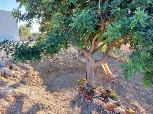 Κήπος έξω από το Casa Palombara - Healiday in Torre Salsa