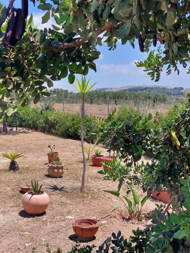 Κήπος έξω από το Casa Palombara - Healiday in Torre Salsa
