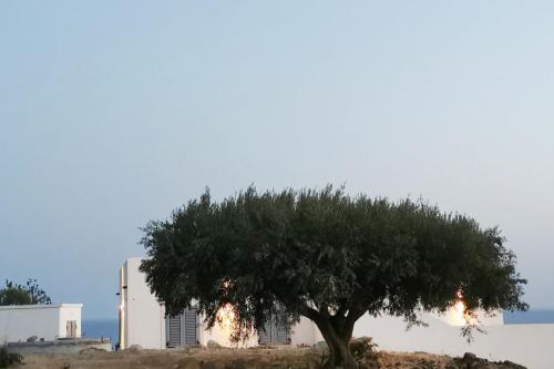 Φωτογραφία από το άλμπουμ του Casa Palombara - Healiday in Torre Salsa σε Montallegro